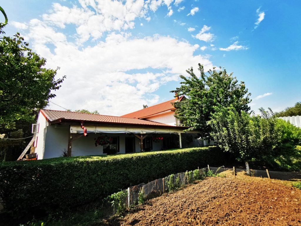 photo_2021-08-23 12.15.01